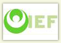 EIF