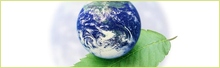 Energy and energy efficiency
