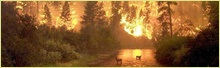 Global Warming